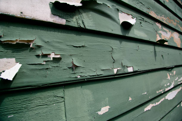 Best Retail Junk Removal  in Waverly, NY